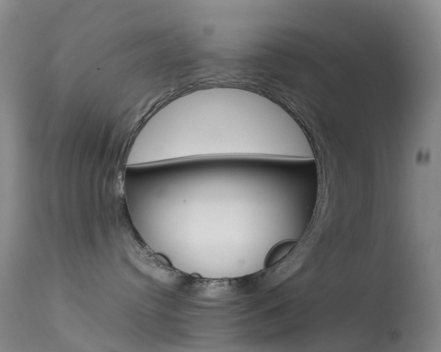 X0000113540384200909181029