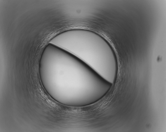 X0000113540385200909181028