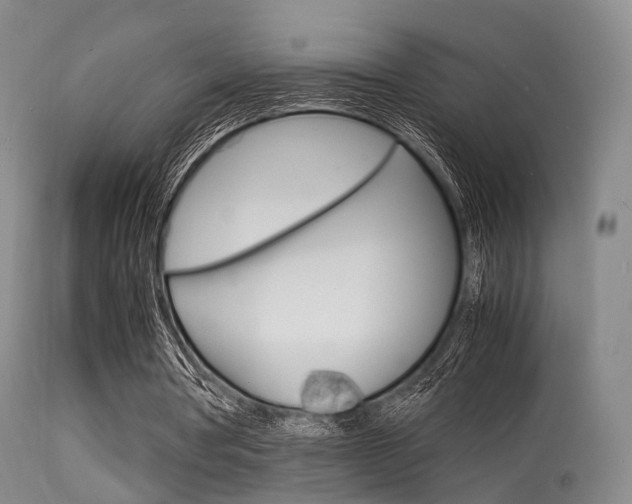 X0000113540386200909181028