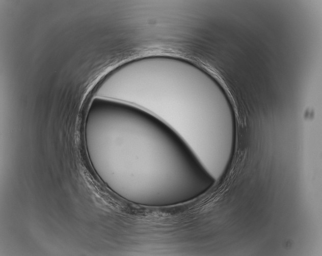 X0000113540387200909181028