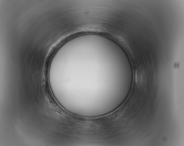 X0000113540388200909181028