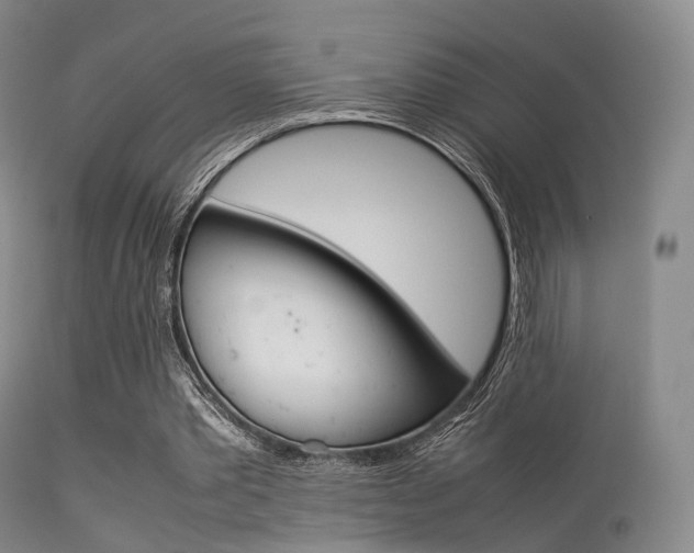 X0000113540389200909181028