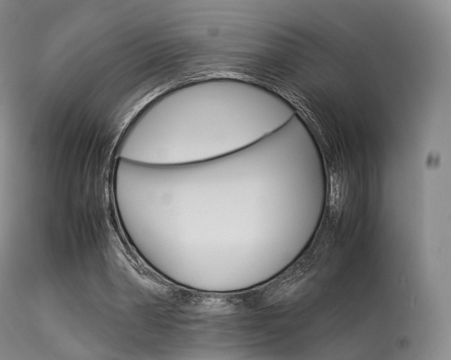 X0000113540390200909181028