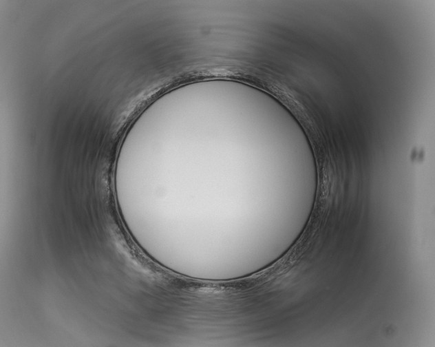 X0000113540394200909181028