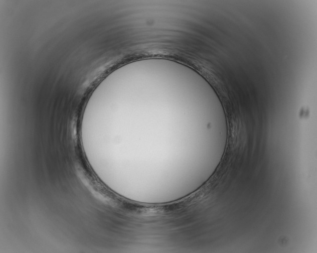 X0000113540398200909181028