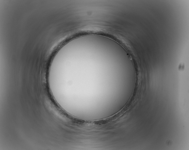 X0000113540399200909181028
