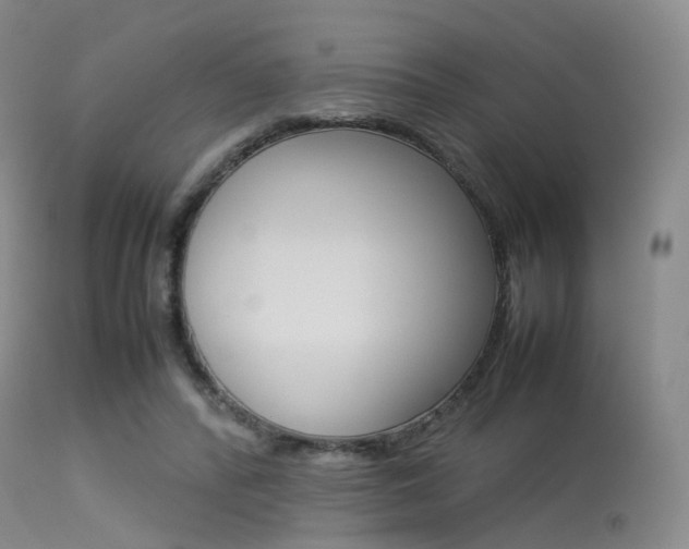 X0000113540400200909181028