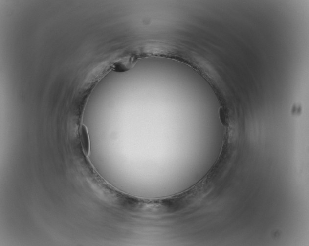X0000113540401200909181028