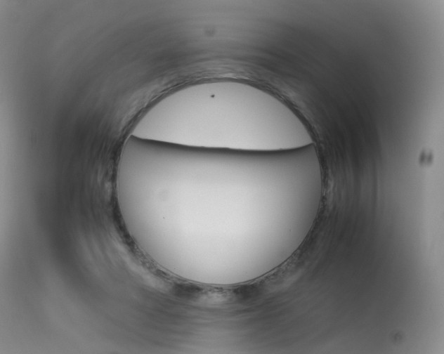X0000113540402200909181028