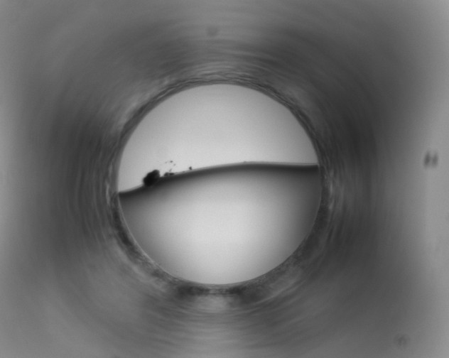 X0000113540404200909181028