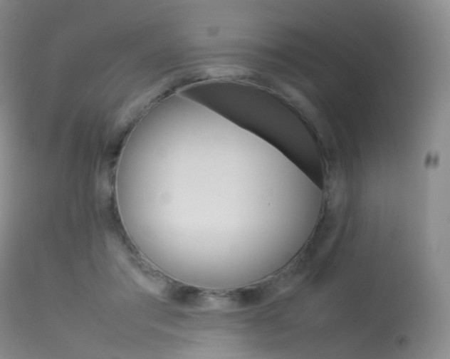 X0000113540405200909181028