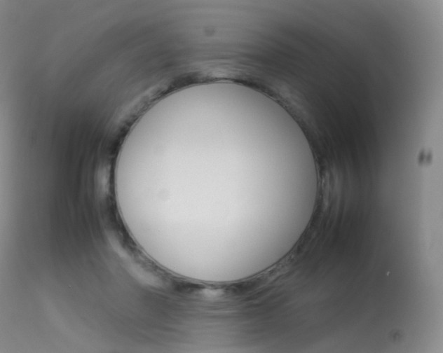X0000113540406200909181028