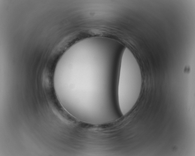X0000113540408200909181028