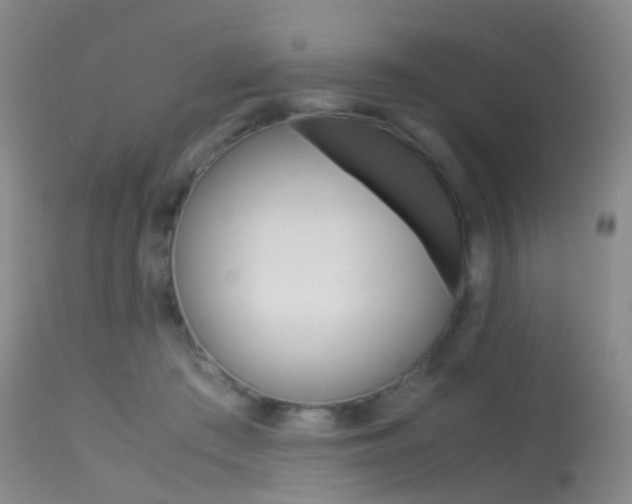 X0000113540409200909181028