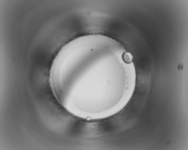 X0000113540411200909181028