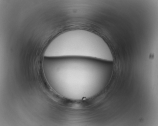 X0000113540412200909181028