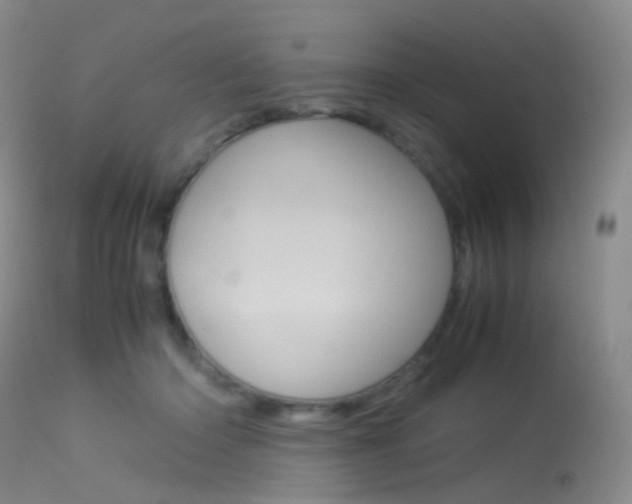 X0000113540414200909181028