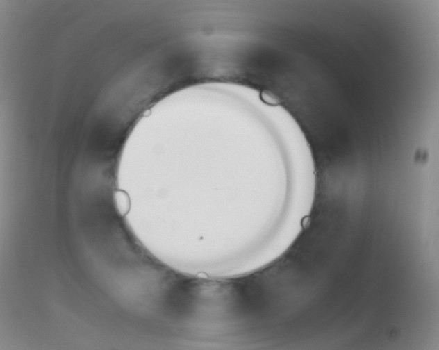 X0000113540415200909181028