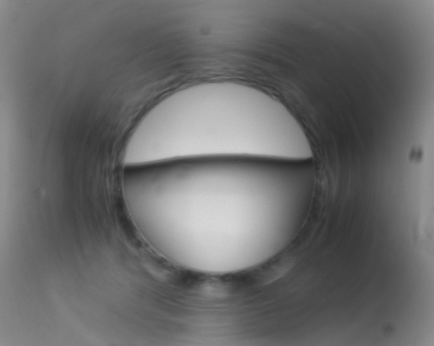 X0000113540416200909181028
