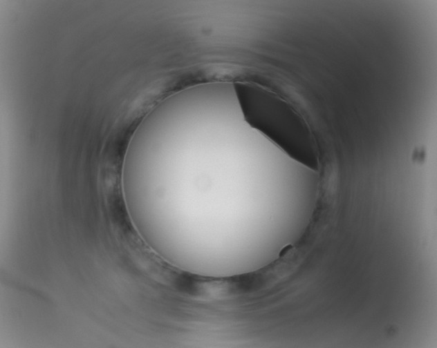 X0000113540417200909181028