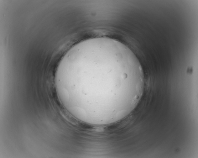 X0000113540418200909181028