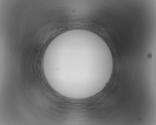 X0000113540419200909181028