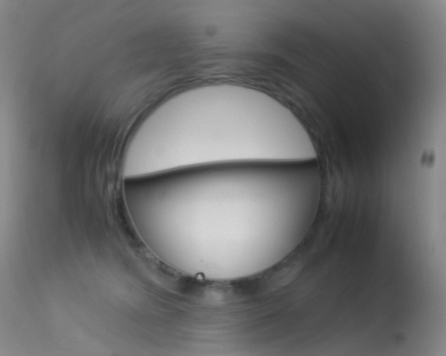 X0000113540420200909181028