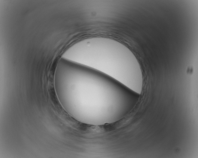 X0000113540421200909181028