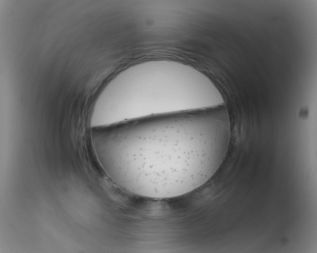 X0000113540424200909181028