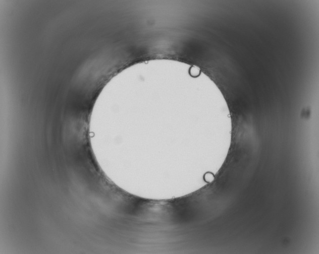X0000113540427200909181028