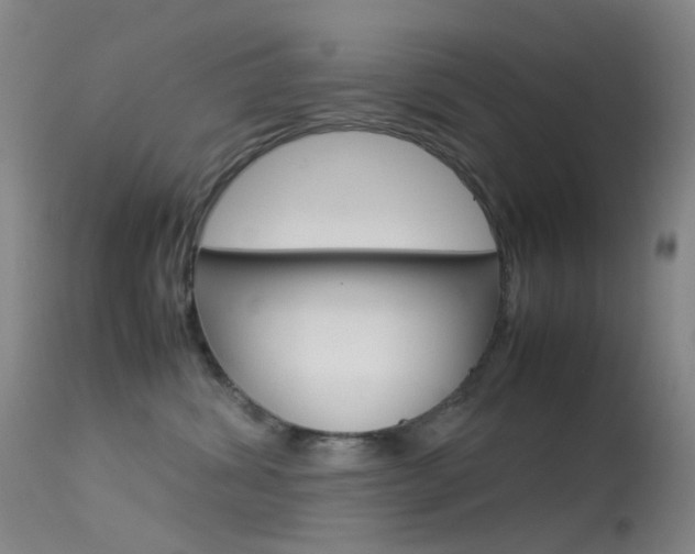 X0000113540428200909181028