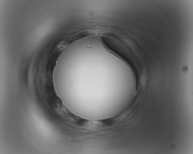 X0000113540429200909181028
