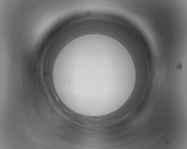X0000113540431200909181028