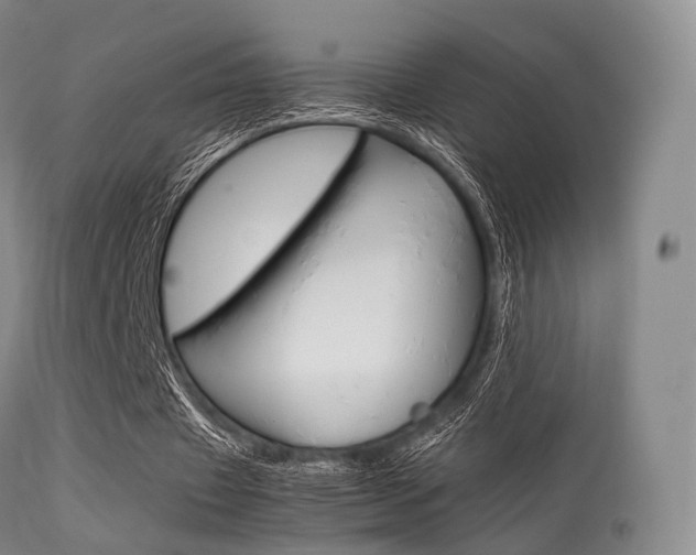 X0000113540433200909181027