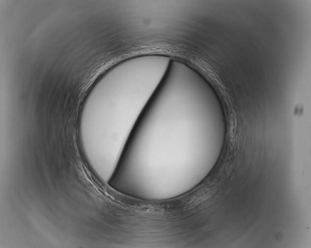 X0000113540434200909181027