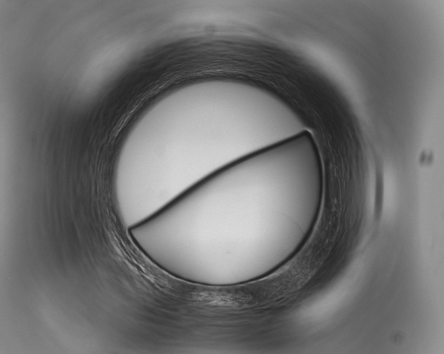 X0000113540435200909181027