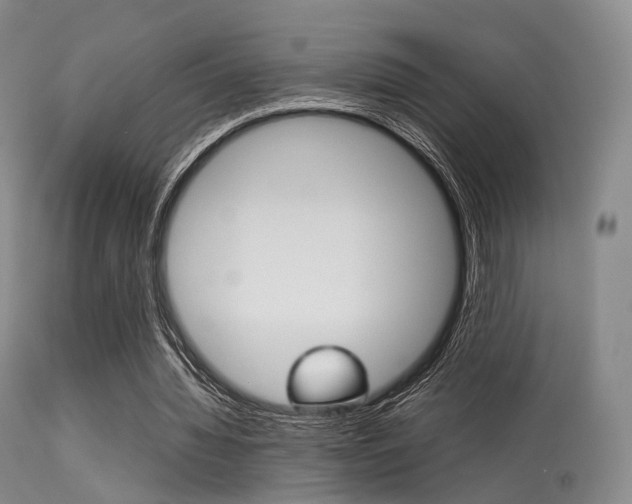 X0000113540436200909181027