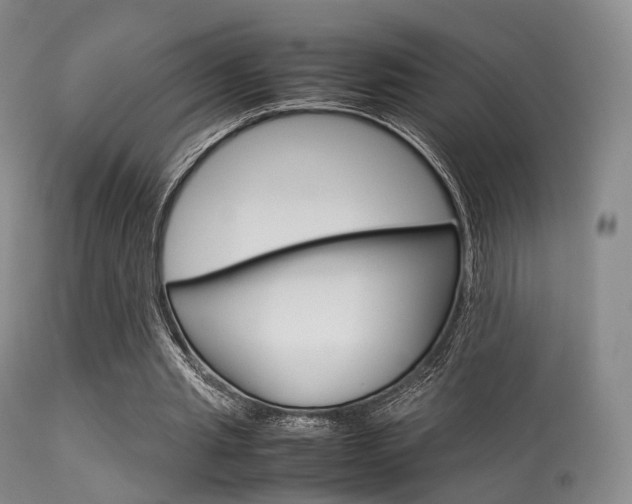 X0000113540437200909181027