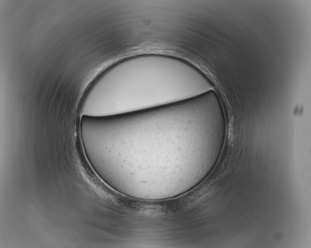 X0000113540438200909181027