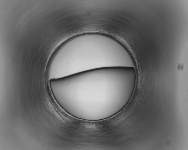 X0000113540439200909181027