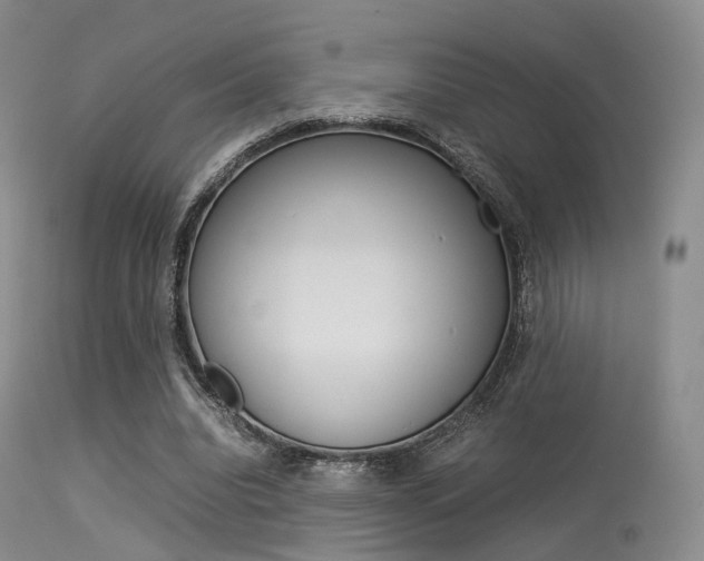 X0000113540440200909181027
