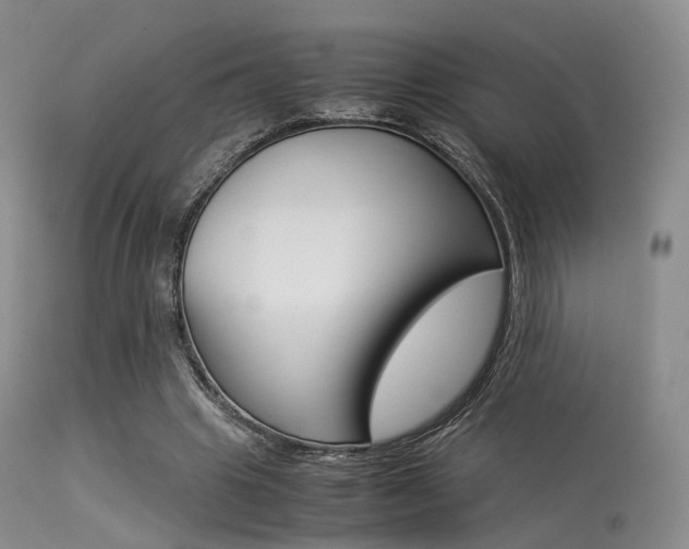X0000113540441200909181027