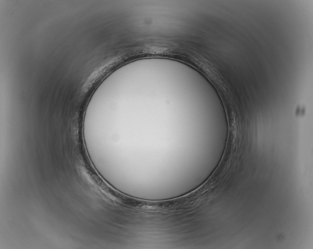 X0000113540442200909181027