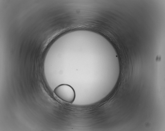 X0000113540444200909181027