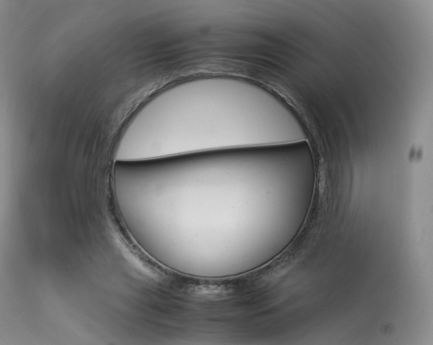 X0000113540445200909181027