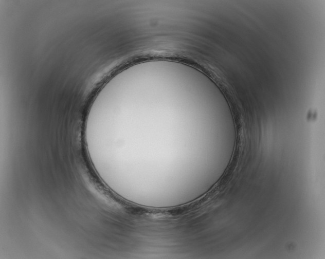 X0000113540446200909181027