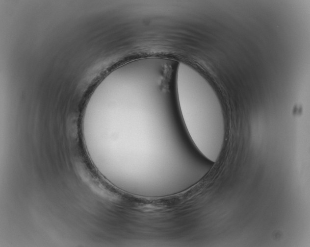 X0000113540447200909181027