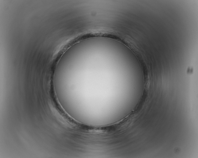 X0000113540448200909181027