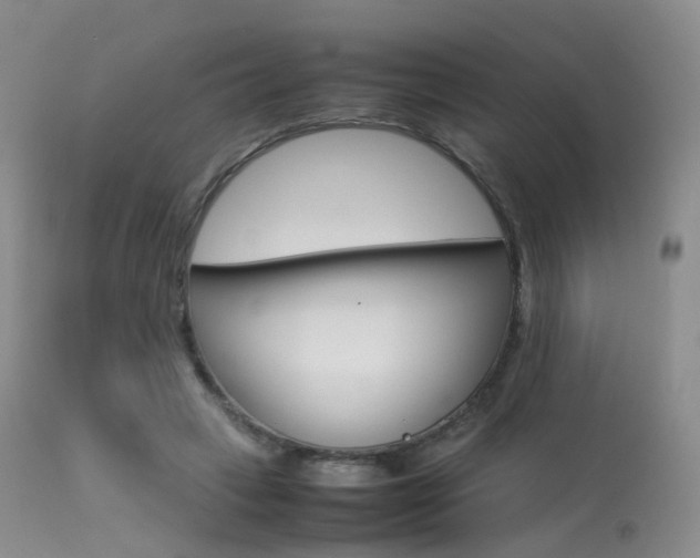 X0000113540449200909181027