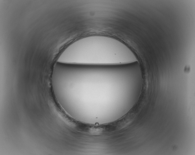 X0000113540450200909181027
